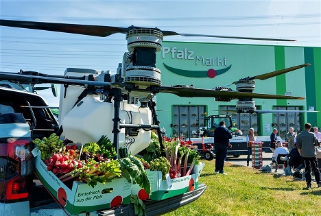 Start der heimischen Frischgemüse-Saison: Erntekorb bei Pfalzmarkt prall gefüllt