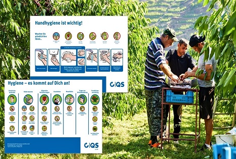 QS-Poster für die Erntesaison: Hygieneregeln auf einen Blick