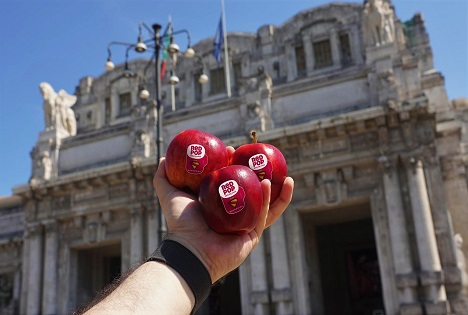 RedPop® macht den Sommer zum „Snack Me“-Erlebnis