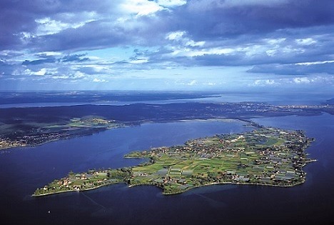 Reichenau-Gemüse: Positives Jahresergebnis - Umsatz steigt auf 64,1 Mio. Euro