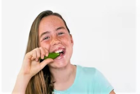 Rijk Zwaan: Erleben Sie den Crunch von MyCubies® Mini-Snackgurken