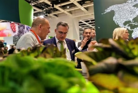 Fruit Logistica 2026: Rijk Zwaan präsentiert Innovationen