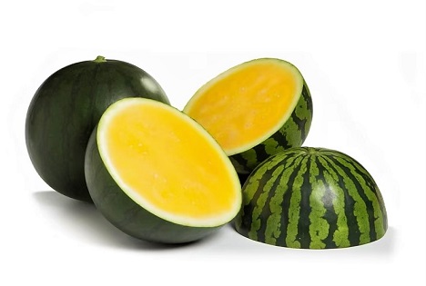 Rijk Zwaan: Die gelbe Wassermelone kurbelt den Absatz in der Kategorie an
