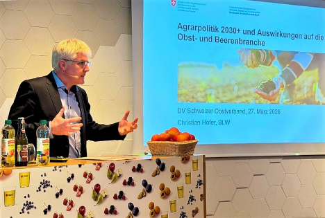 Delegiertenversammlung des Schweizer Obstverbands: Wirtschaftlichkeit im Fokus