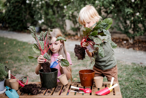 SPAR unterstützt junge Vielfaltsprojekte in ganz Österreich