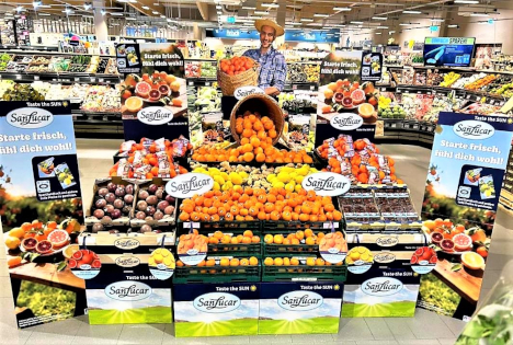 SanLucar startet 2026 mit erfolgreicher Zitruskampagne und spanischer Zitrussaison