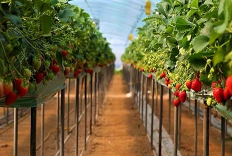 SanLucar Wassermanagement in Harmonie mit Mensch und Natur