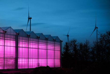 Schneebergerhof: Offizielle Eröffnung des Hightech-Gewächshauses