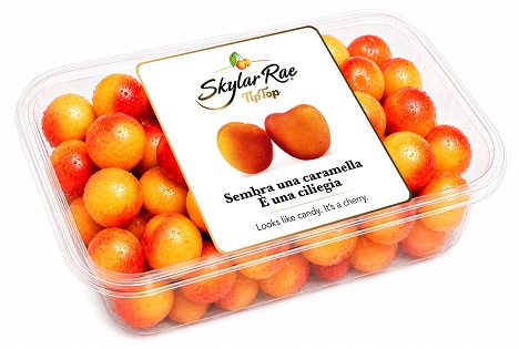 Rivoira Group präsentiert Skylar Rae®: Premium-Kirsch ohne Stiel – Einführung der #CherryBerry