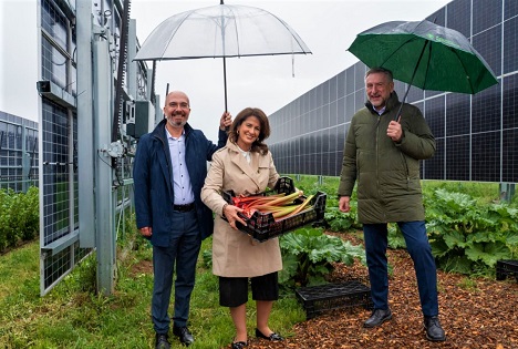 StMELF: Agri-Photovoltaik - ein Schutzschirm für Obst- und Gemüse