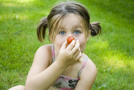 Bayern: EU-Schulprogramm - 10,5 Millionen Euro für Ernährungsbildung mit Obst, Gemüse und Milch
