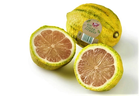 Ja! Natürlich bringt die Tigerzitrone nach Österreich