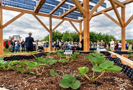 Universität Freiburg: Neue PV Versuchsanlage verbindet Erzeugung von Strom und Landwirtschaft