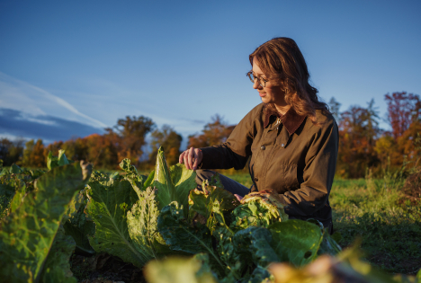 Uni Hohenheim: Studienrichtung Gartenbauwissenschaften startet