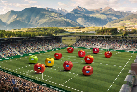 Starke Defensive, spielstarkes Mittelfeld und ein treffsicherer Angriff: Mit dem VOG-Sortiment zum Erfolg