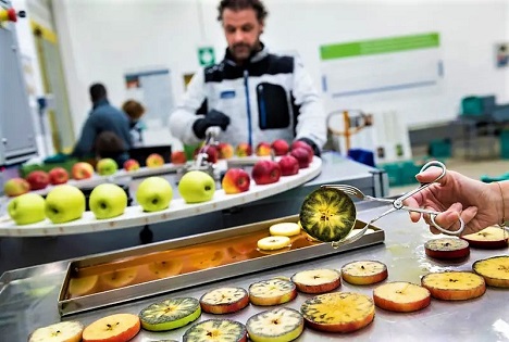 Fruchtqualität sichern, Energie sparen: Forschung zur Obstlagerung am Versuchszentrum Laimburg