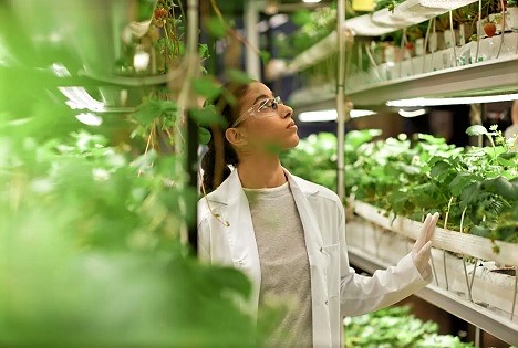 HortINspire: WUR lanciert internationales Netzwerk für kontrollierte Landwirtschaft