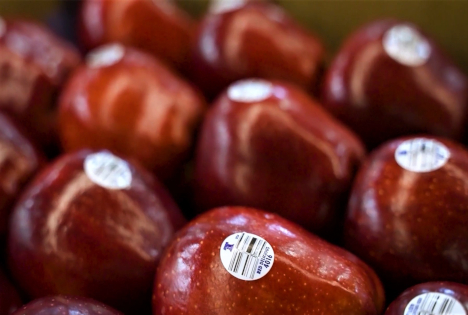 Über 30 Jahre operative Exzellenz in der automatisierten Kennzeichnung