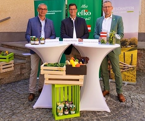 Wirtschaften am Land: Mehr Indien als Österreich im Gurkenregal - Gurkenbauern schlagen Alarm