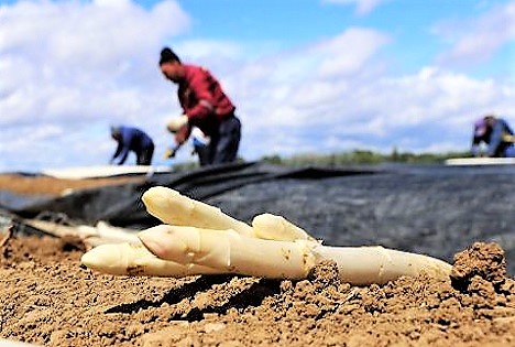 Natur kennt keine Stechuhr: ZVG fordert Umsetzung der Wochenhöchstarbeitszeit