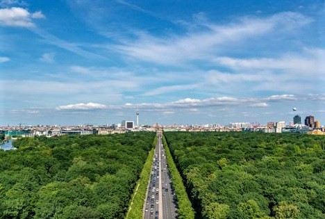 ZVG: Hitzewelle zeigt - Ohne Gartenbau keine lebenswerte Stadt