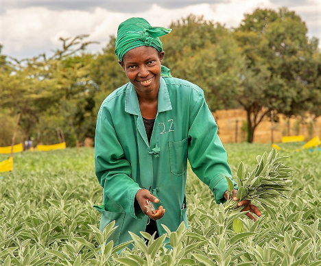 IPD stellt neue Handelspartner für Frisches O&G beim virtuellen B2B-Event vor