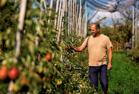 Bundespreis Ökologischer Landbau: Bio-Obsthof Glocker geehrt