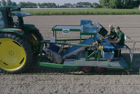 Neuheit auf der expoSE: Grünspargelernte und Unkrautbekämpfung in einem Arbeitsablauf