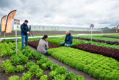 Foto © BASF Nunhems DemoDays Open Field