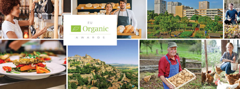 Logo Ifoam EU Organic Awards 