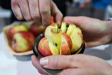 Foto © Messe Friedrichshafen GmbH