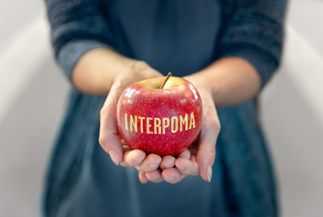 Interpoma 2022 – Mit stabiler europäischer Apfelernte in Richtung Interpoma Congress