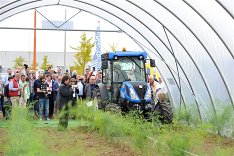 Italien: Rimini wird zur Welthauptstadt des Spargels bei den Internationalen Spargel-Tagen