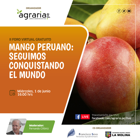 Banner Zweites Digitales Forum über peruanische Mangos im Gange