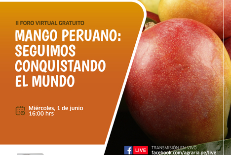 Zweites Digitales Forum über peruanische Mangos im Gange