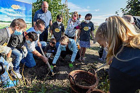 Foto © Erzeugergemeinschaft Pfälzer Grumbeere