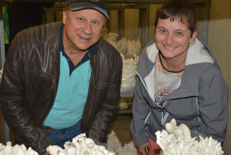 Pilz-Welt entdecken - Einblick in 2 Schweizer Produktionen