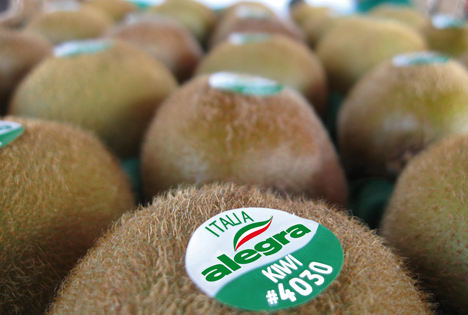 Alegra Group mit neuer grüner Kiwi VerdeDivo auf Fruit Attraction