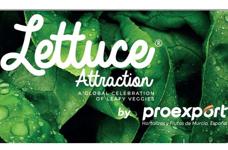 Lettuce Attraction – die globale Salatveranstaltung