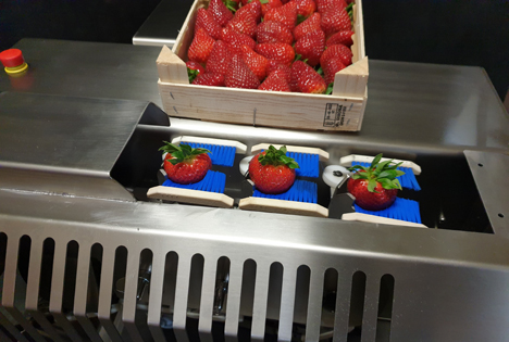 Geschnittene Erdbeeren. Foto © C & G Maschinen