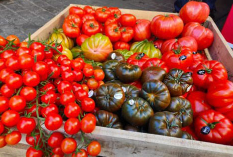 Spanien: CASI – Unbestrittener Protagonist auf dem Tomatentag in Almería