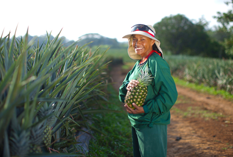 Dole Fresh Fruit, Pineapple Farm (Foto © Business Wire)