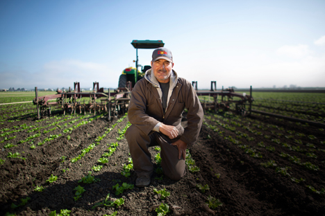 Dole Fresh Vegetables Farm (Foto © Business Wire)