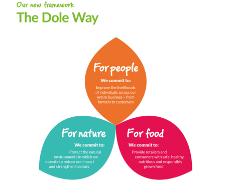 The Dole Way Framework (Graphic © Business Wire)