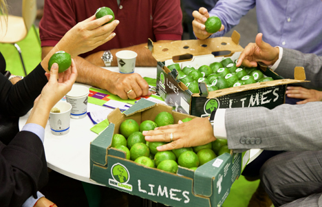 Limonen in Mexiko. Foto © Don Limón