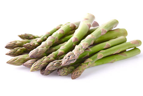 Offizieller Marktstart von Guelph-Equinox-Spargel in Europa