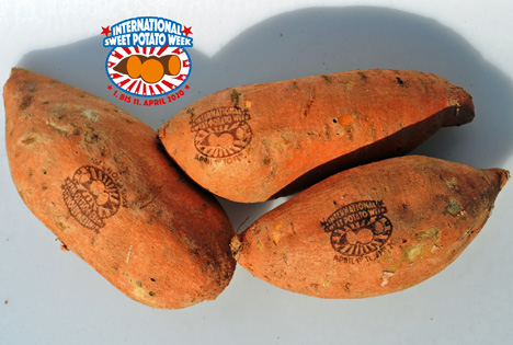 International Sweet Potato Week - Verkostungen. Foto © ASPMI & NCSP