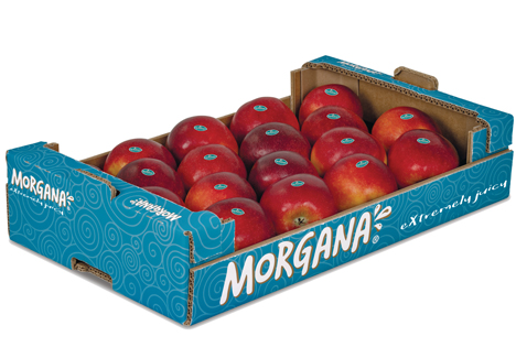 Morgana® Foto © Unternehmensgruppe KRINGS