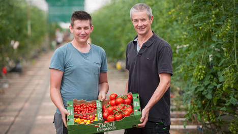 LGV Gärtner aus Wien-Donaustadt Thomas und Martin Merschl. Foto © LGV Sonnengemüse