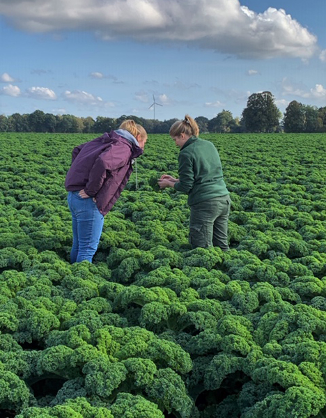 Foto © LWK Niedersachsen